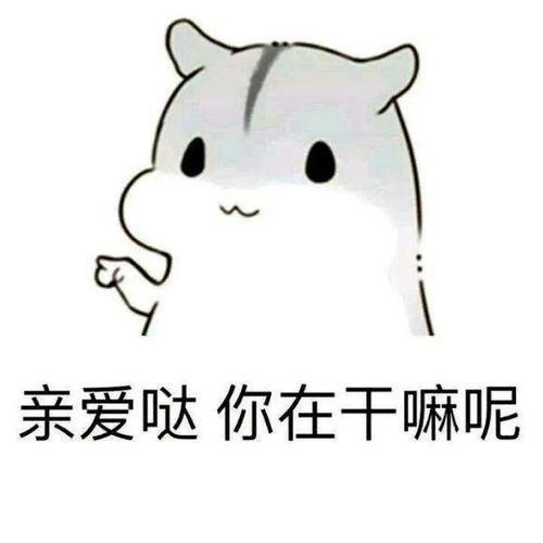 仓鼠表情包:亲爱哒,你在干嘛呢