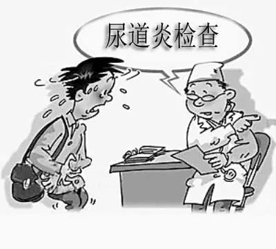 尿道炎反反复复,还能不能尿的舒畅了?