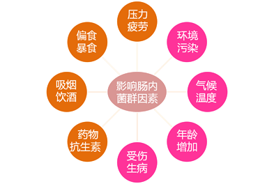 肠道菌群失调了怎么办