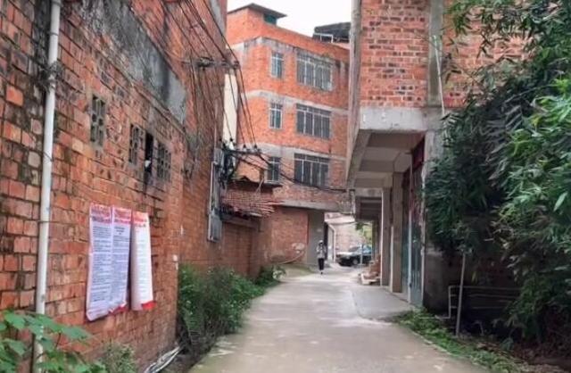 南宁小鸡村,大鸡村,高峰市场,熟悉的地方,满满的回忆有你的吗