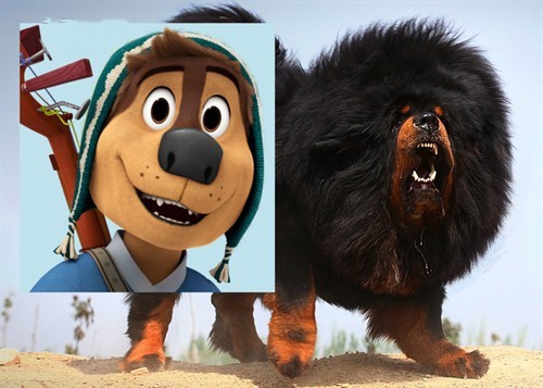 《摇滚藏獒》:既然摇滚,何必藏獒|摇滚藏獒|波弟|猫王