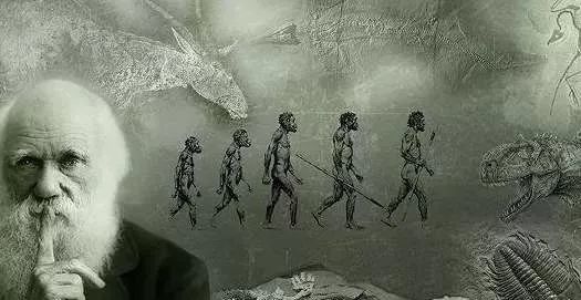 人类究竟起源何处专家推翻猿人进化论真相神仙都不敢信