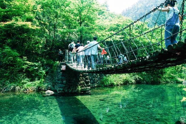 撒歡桐洲島走進富春山居圖帶寶貝古森林探秘