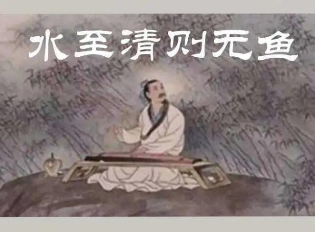 古人的"水至清则无鱼,后半句才是精华,诠释了人生哲学