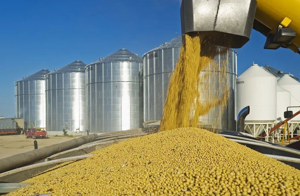 1.12元/斤!今年继续实行小麦最低收购价政策!