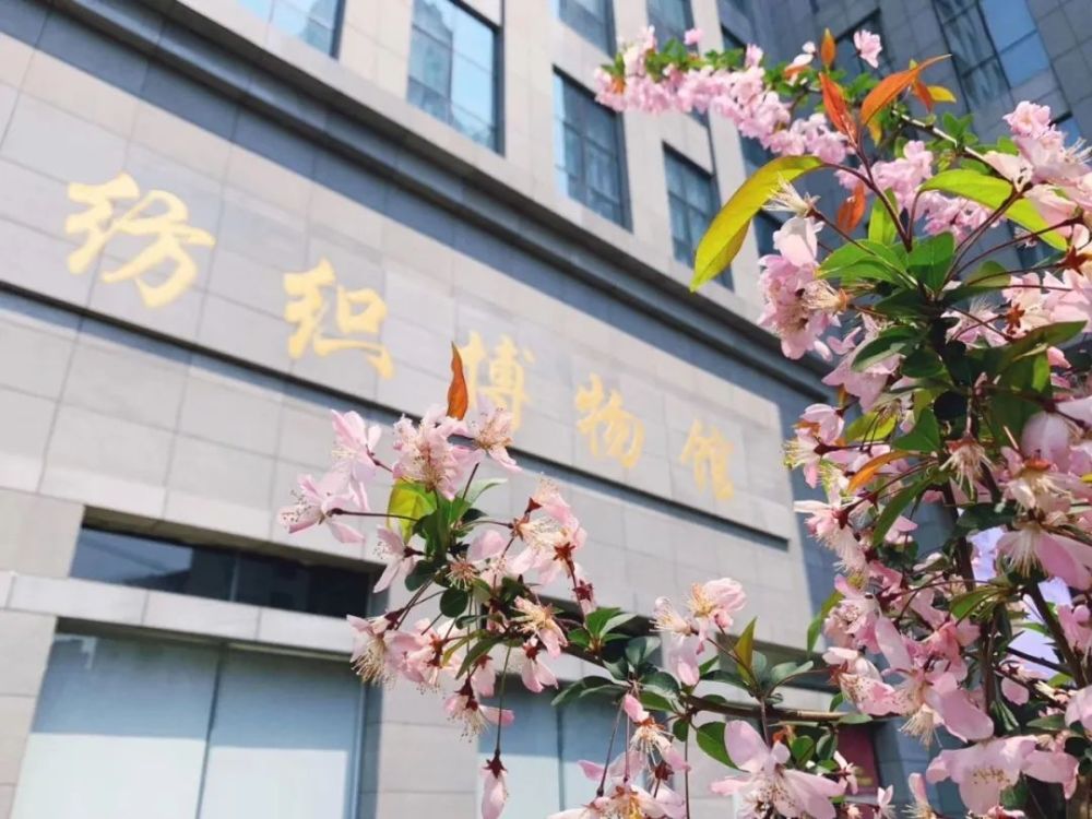 普陀"博物馆联盟"一大波精彩活动等你来!