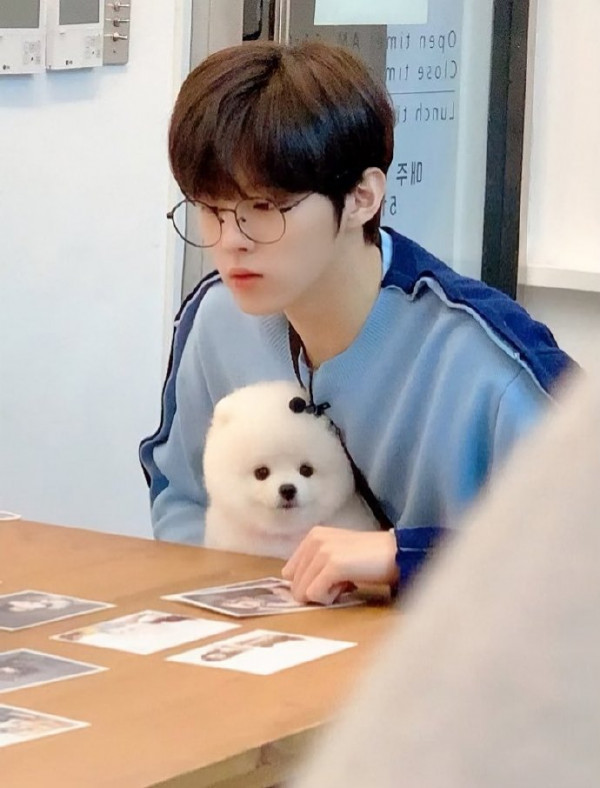 可爱预警金宇硕出演狗很优秀超萌博美哒哒来了