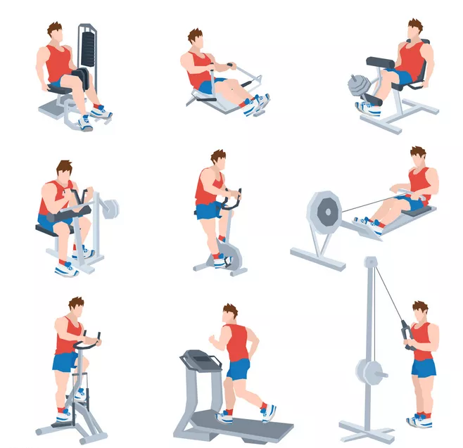 健身新手如何更好地利用健身房?