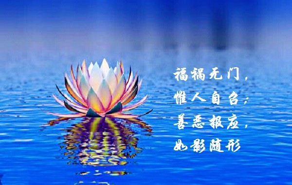 祸福无门( 祸福无门的意思 )