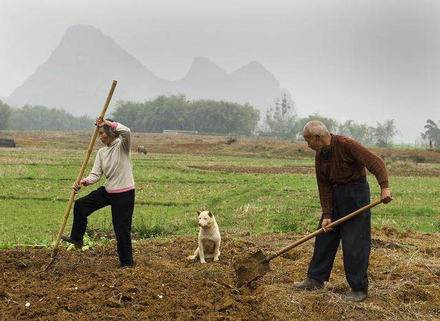 农村一些60岁以上的老人也有退休金为什么有的人还要种地其实很简单