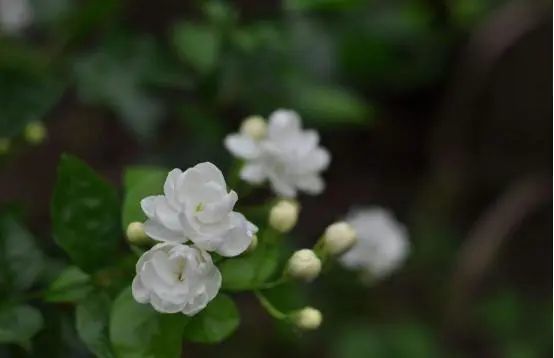 夏日雅事 做完这4件事 才不算辜负夏天 腾讯新闻