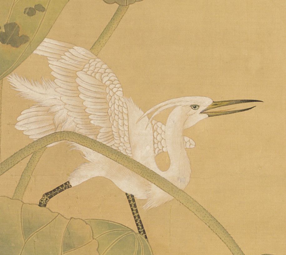 云展五百年来三十人23陈之佛莲花白鹭