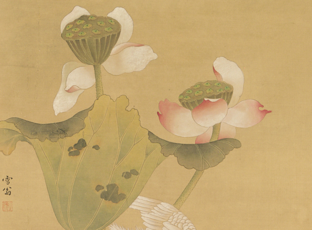 云展五百年来三十人23陈之佛莲花白鹭