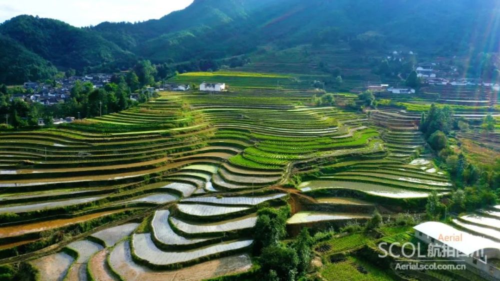 小黑箐镇以"生态宜居"及"产业兴旺"发展为主,依托创建"会理县小黑箐