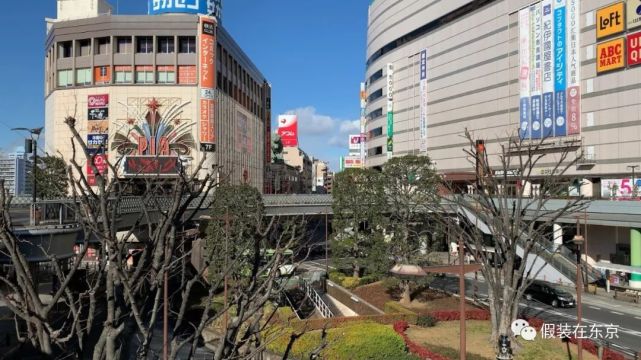 在日华人们的纠结 要不要住华人区 华人区 日本 出国 华人 东京 池袋