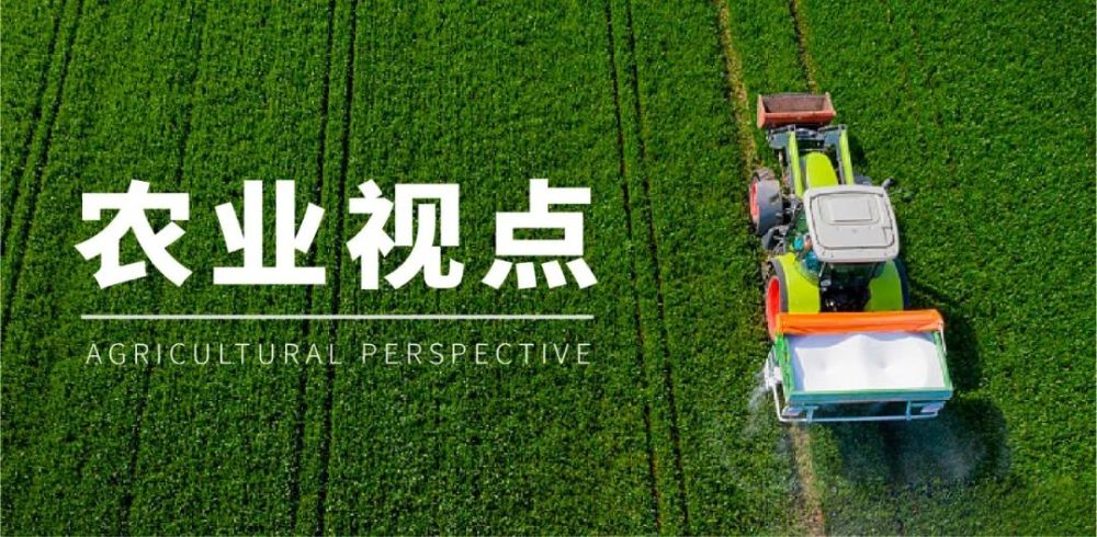 盒马鲜生|盒马mini小店“进击”北京，从不被看好变为捞金蛋糕，中间经历了什么？