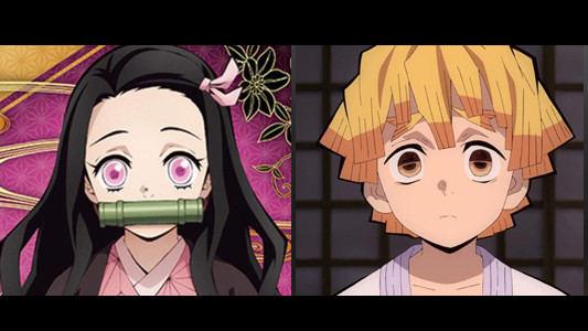 2. 祢豆子&善逸:后代弟:灶门炭彦,15岁.翻版炭治郎.