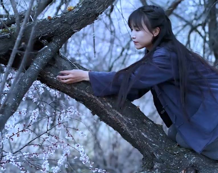 李子柒事件后续维权难度大林俊杰还珠格格都曾被抄袭