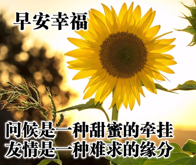 9月23日最漂亮的早上好祝福语图片温馨清晨群发短语暧心问候动图 爱情