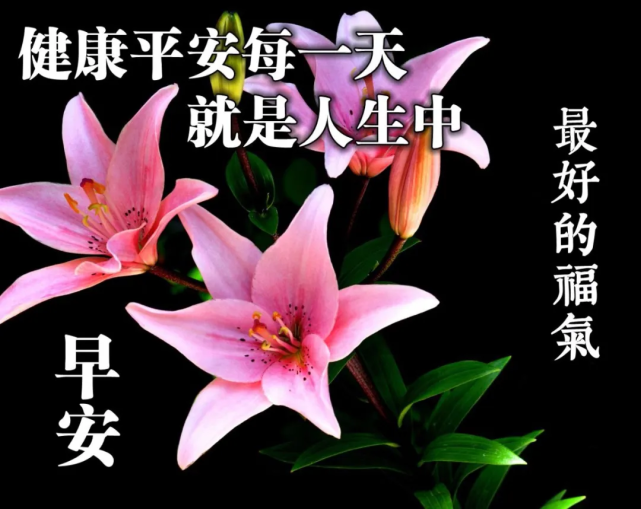 周六最新最美早晨好问候祝福语图片 早安问候祝福语短信