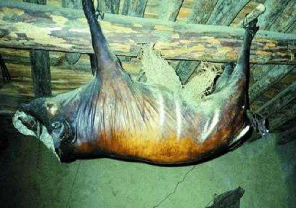 四川臭猪肉在梁上挂了30年,越臭越值钱,有人花80万都不愿卖_腾讯新闻