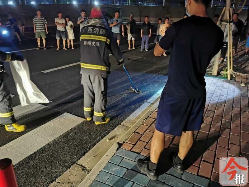 眼镜王蛇惊现柳州街头入夏后频现蛇踪需当心_腾讯新闻