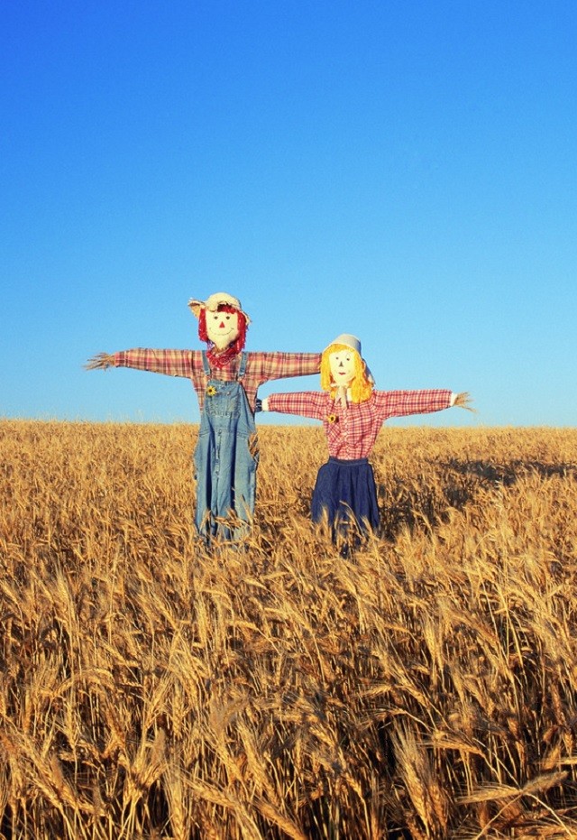 俄罗斯边境用稻草人站岗?看到我们军人的做法后,网友:无比自豪