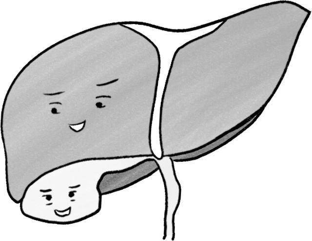 孩子胆小怯懦光靠训练胆量效果不大重在胆的养护