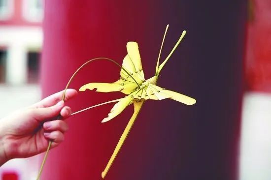 遇见非遗 寻艺棕编