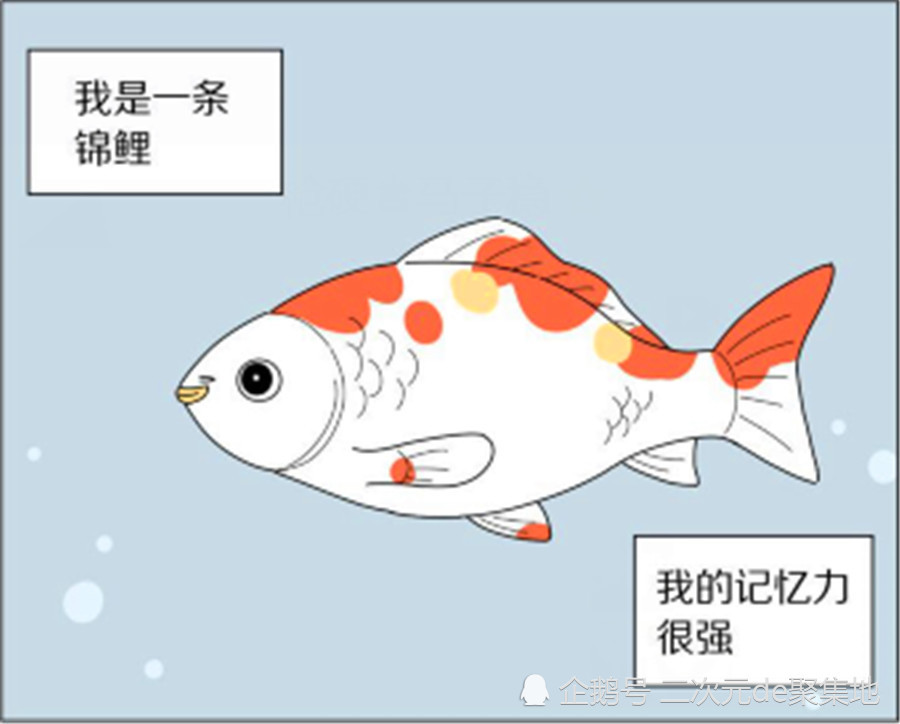 爆笑漫畫:人們都說魚只有七秒鐘的記憶,可這條魚記憶力卻很強