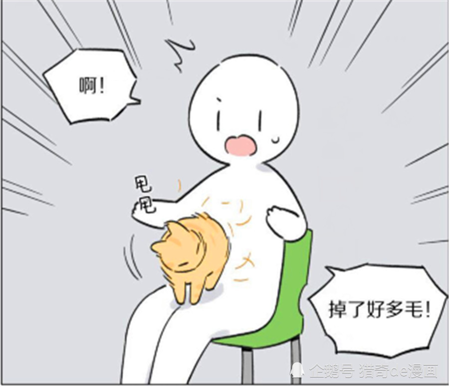 爆笑漫画猫怕主人冷了使劲在主人的身上蹭来蹭去沾了主人一身毛