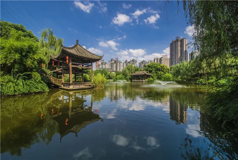 剪出《巴国城》画卷,畅想九龙坡蓝图