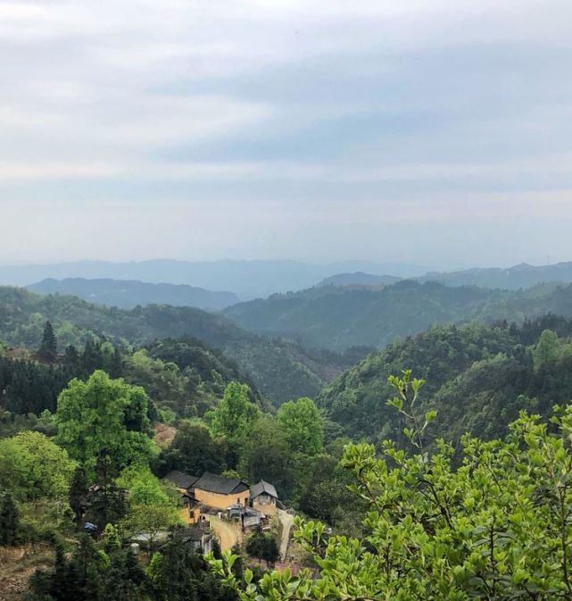 东子山是一个村,我是在朋友发的微信中认知的,但