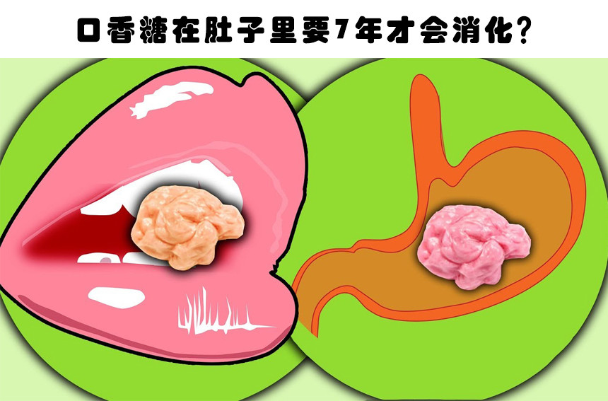 误吞口香糖要7年才消化细数5个依然被很多人相信的错误事实