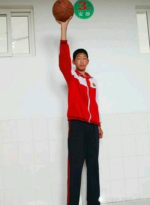 为什么山东的人平均身高比其他省份高?