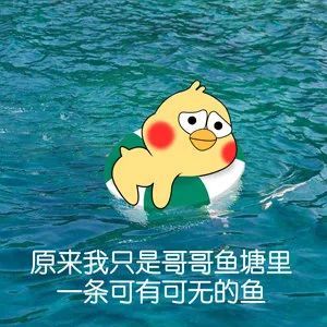 我是哥哥魚塘裡的一條魚表情包,我淹死在哥哥的魚塘裡