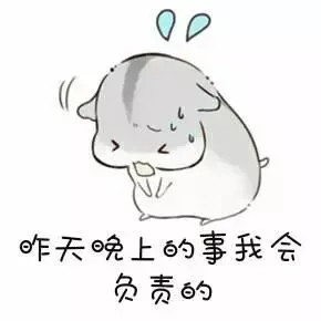 仓鼠表情包老婆昨天晚上的事我会负责的