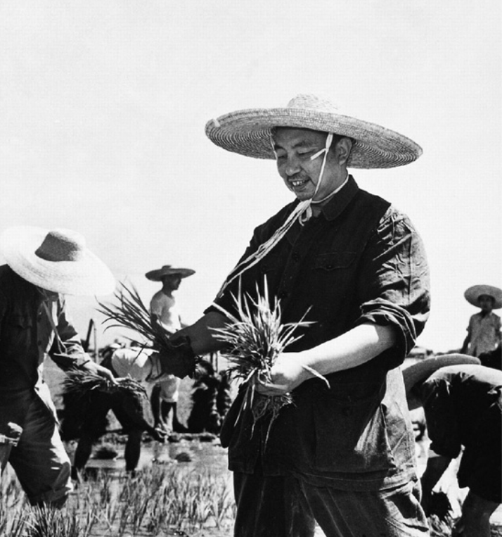 国锋同志收养三个女儿分别为华平华清华湘