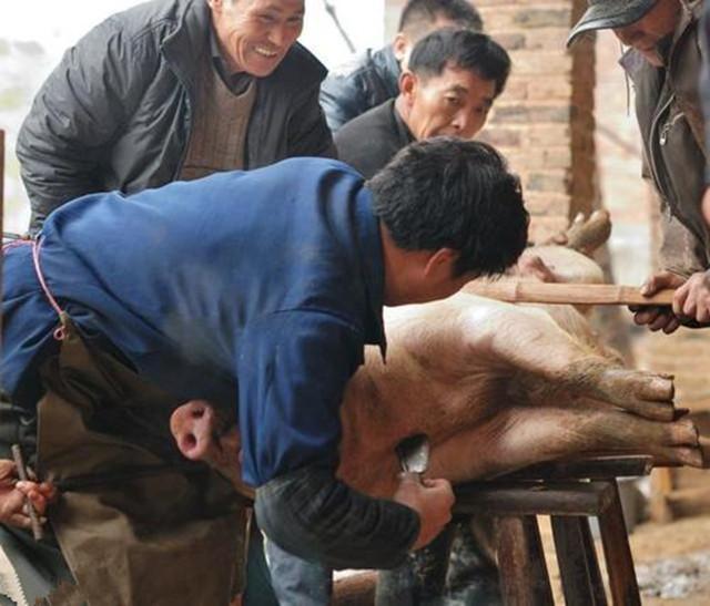 农村的屠夫,为什么大多中年就去世?民间的三种解释_腾讯新闻