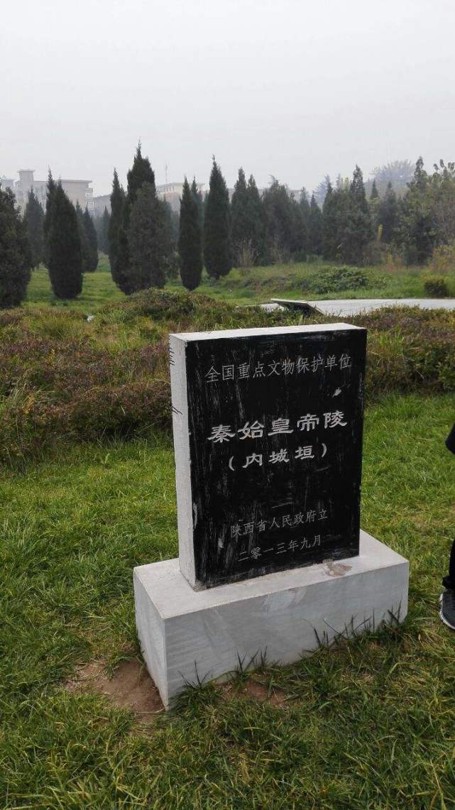 嬴政奶奶墓挖出神秘动物遗骸,形状有点像人,专家:几乎绝种了
