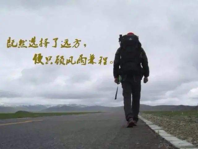 吐露真诚既然钟情于玫瑰我不去想能否赢得爱情便只顾风雨兼程既然选择