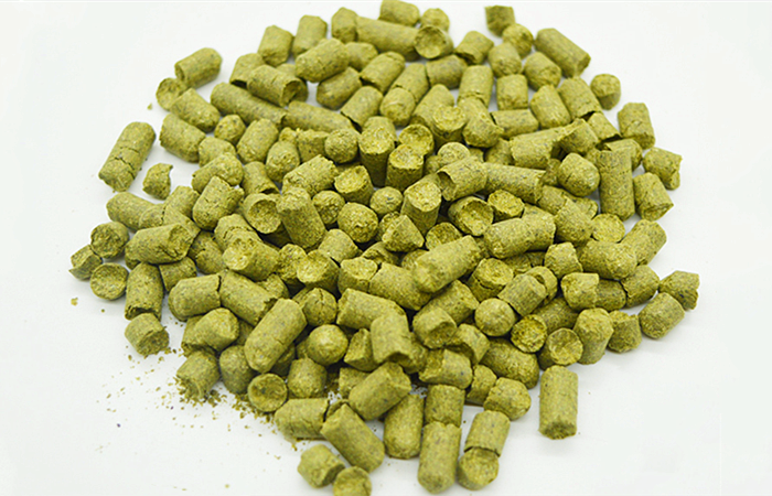 于是就逐渐被加工成啤酒花片,啤酒花颗粒(上图),啤酒花油,啤酒花浸膏