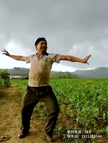 云南这位跳孔雀舞的农民大叔火了网友被种地耽误的灵魂舞者