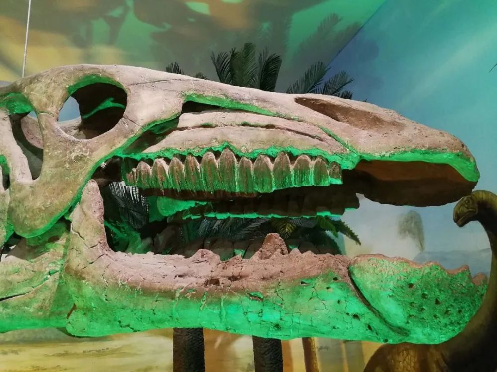 兰州龙长了鸭子嘴的大牙怪