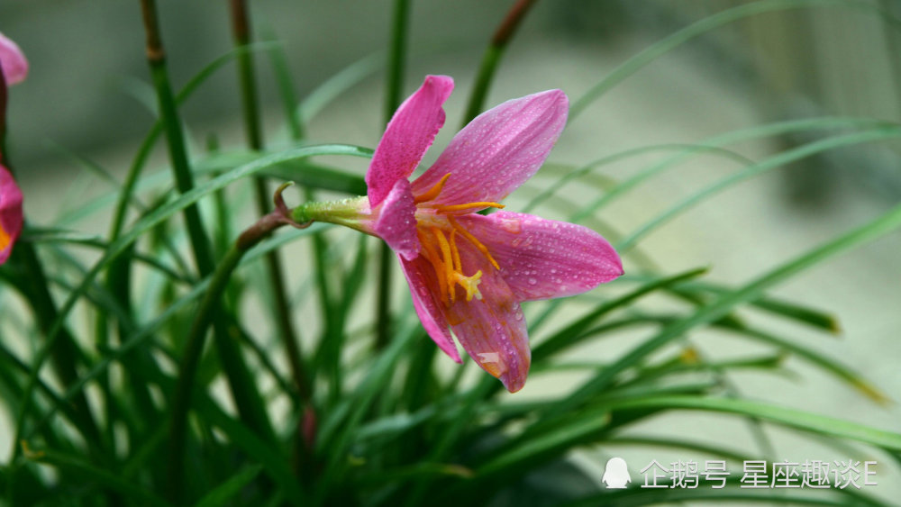 5月19日星座运势 双子控制情绪 天蝎注意言辞 射手知己知彼 腾讯新闻