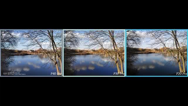 首先来看看日拍近景对比,三款手机所拍摄树木等场景都很清晰,画面也