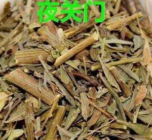 (《湖南藥物志》)15,治痢疾:鮮夜關門根30-120g.