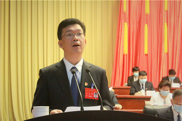 博罗县委副书记,县长谢远区向大会作《政府工作报告》,回顾博罗县2019