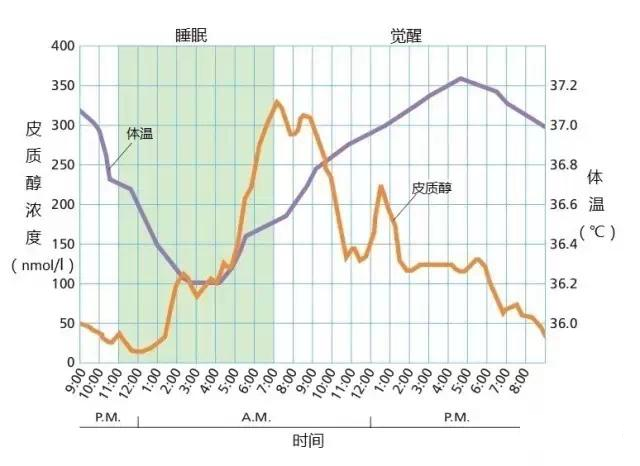 内源性糖皮质激素的分泌有昼夜节律性,午夜时含量最低,清晨时含量最高