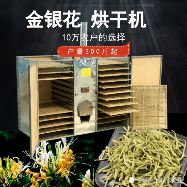 金银花采摘时需要注意什么